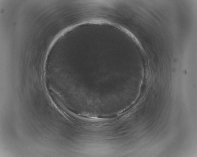X0000084581327200702231245