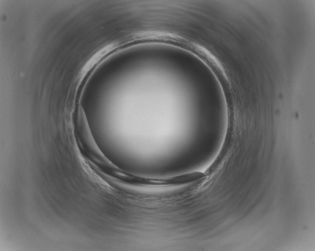 X0000084581330200702231245