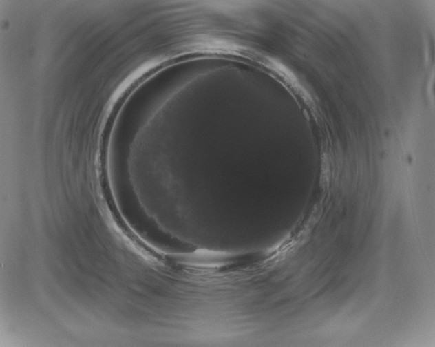 X0000084581331200702231245