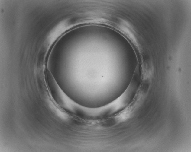 X0000084581332200702231245