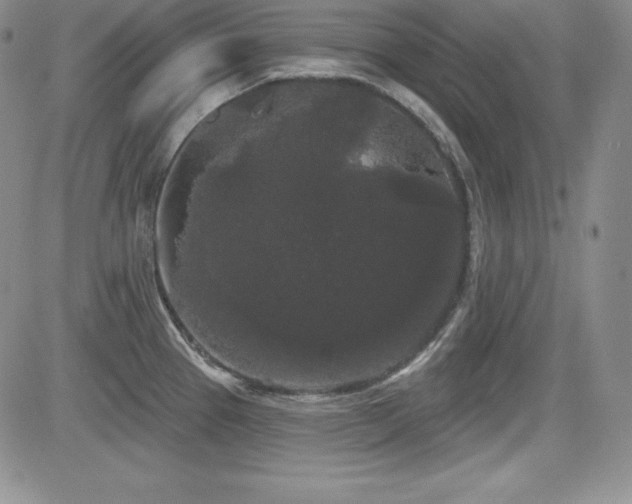 X0000084581337200702231245