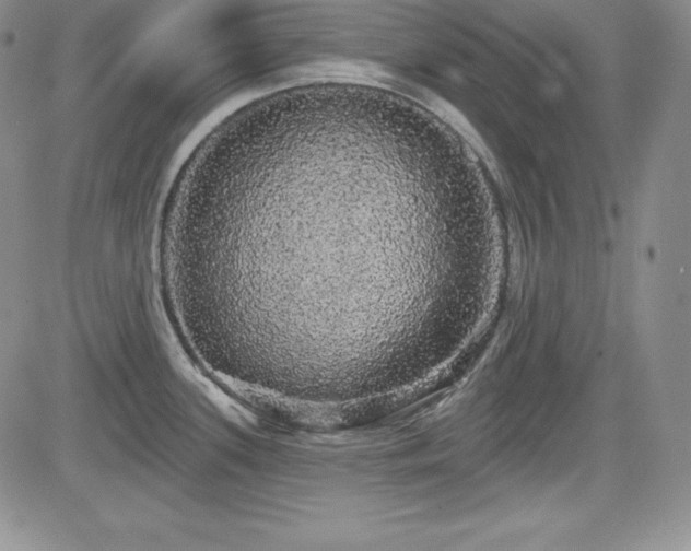 X0000084581339200702231245