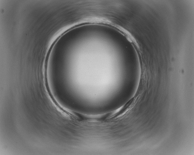 X0000084581343200702231246