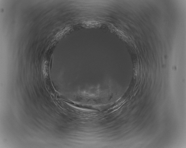 X0000084581346200702231245