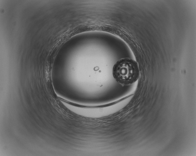 X0000084581348200702231245