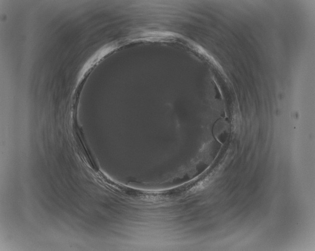 X0000084581362200702231244