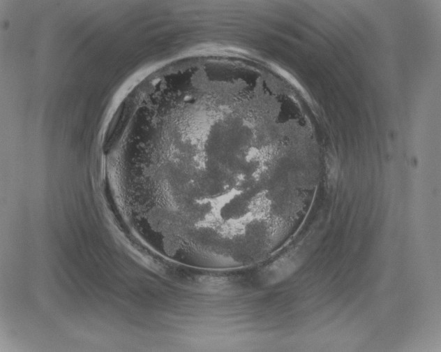 X0000084581371200702231244