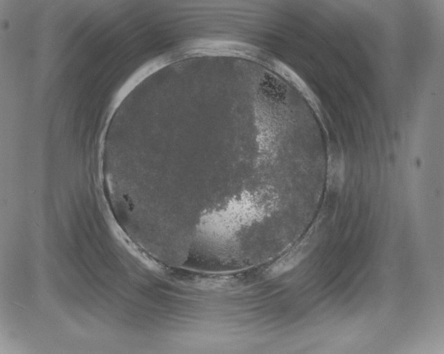 X0000084581386200702231244