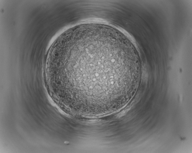 X0000084581390200702231244