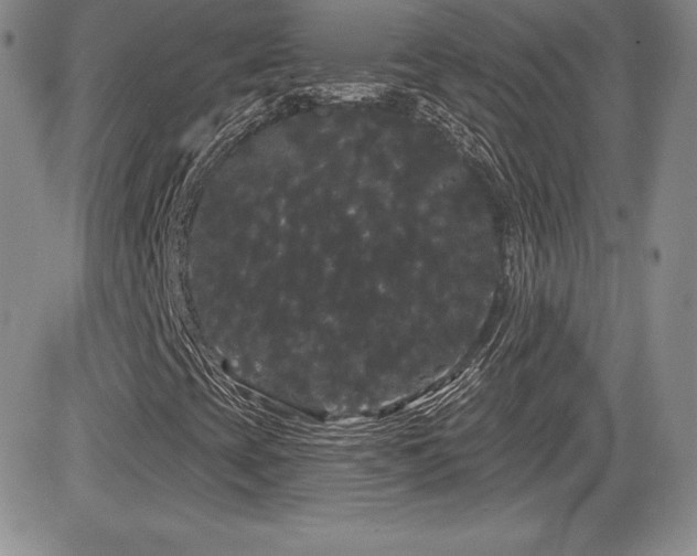 X0000084581393200702231243