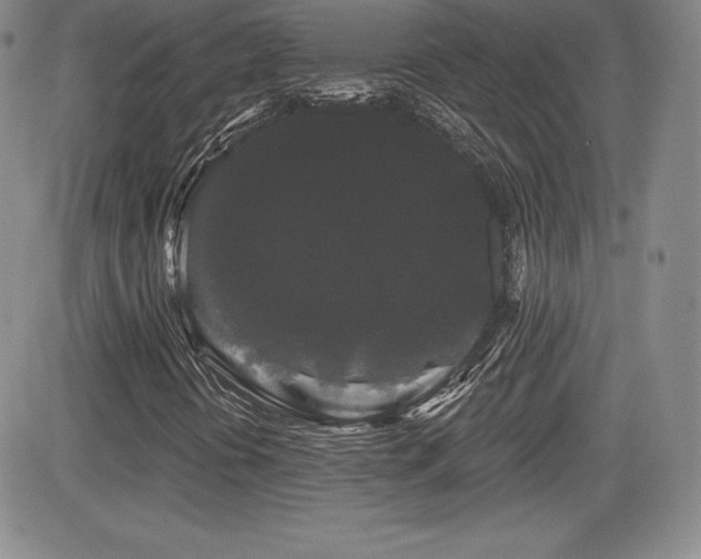 X0000084581394200702231243