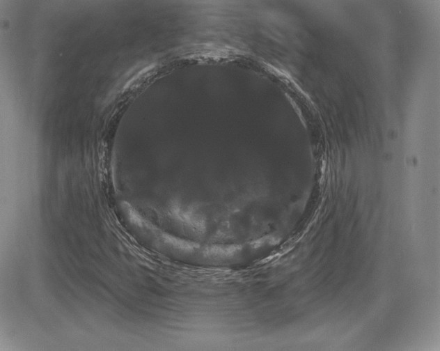 X0000084581399200702231243