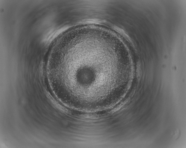 X0000084581404200702231243