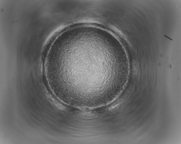 X0000084581408200702231243