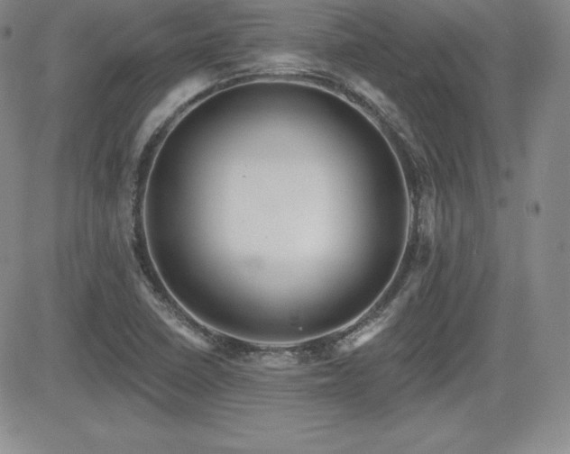 X0000084581410200702231243