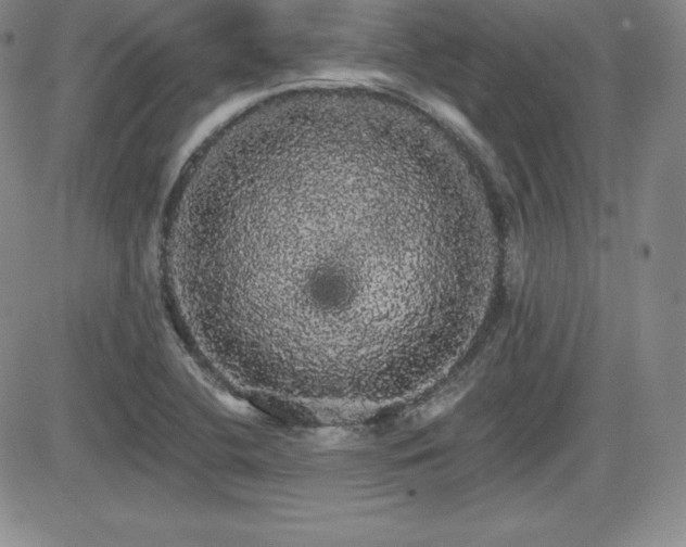 X0000084581412200702231243