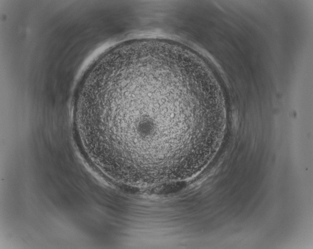 X0000084581416200702231244