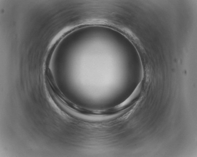 X0000084581422200702231244
