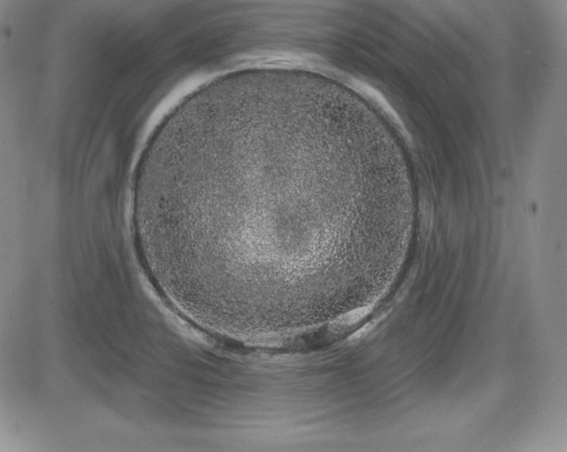 X0000084581424200702231244