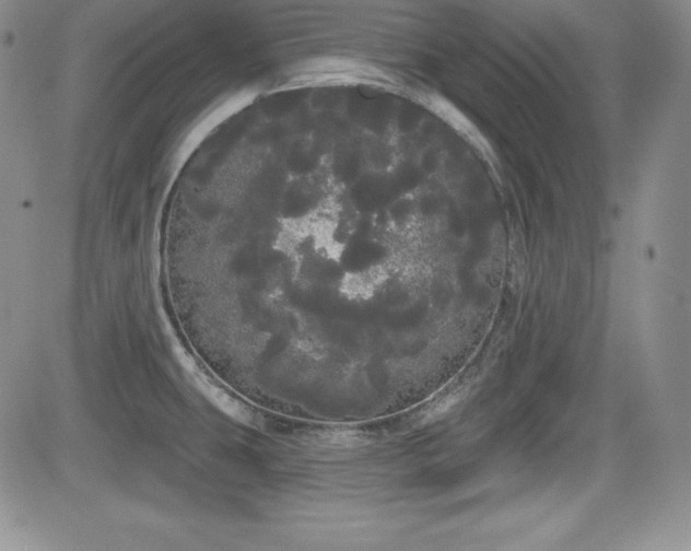 X0000084581431200702231244