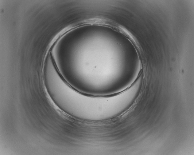 X0000084581434200702231244