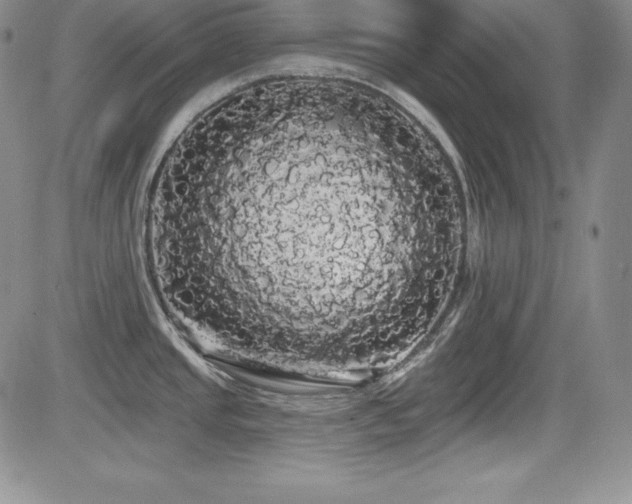 X0000084581437200702231244