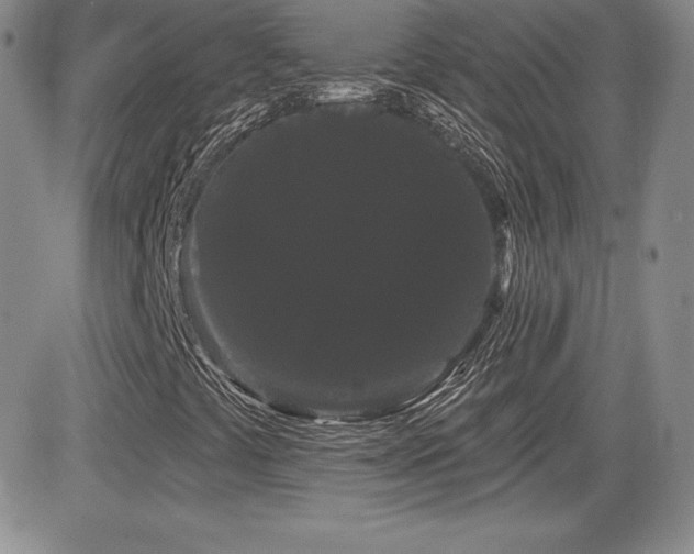 X0000084581441200702231243