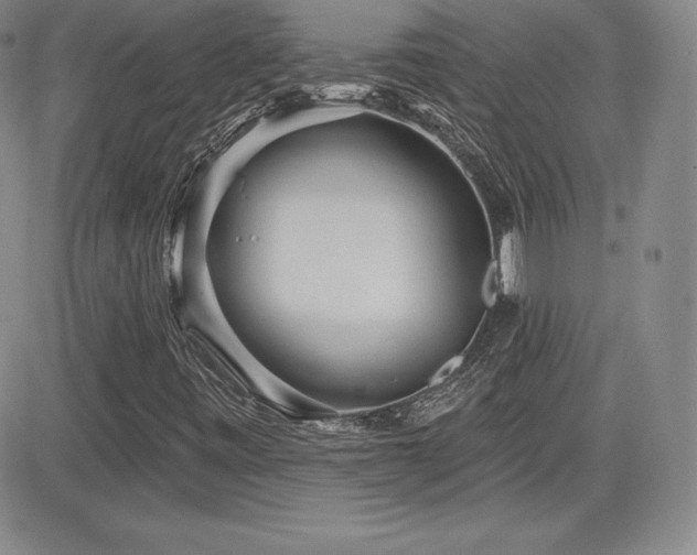 X0000084581443200702231243