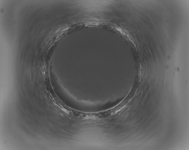 X0000084581445200702231243