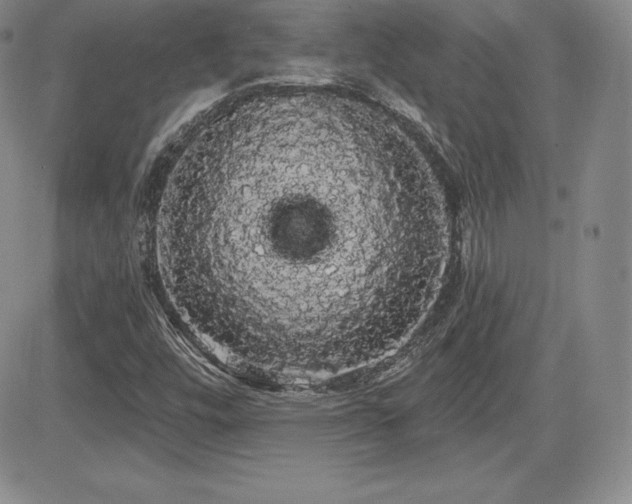 X0000084581448200702231243