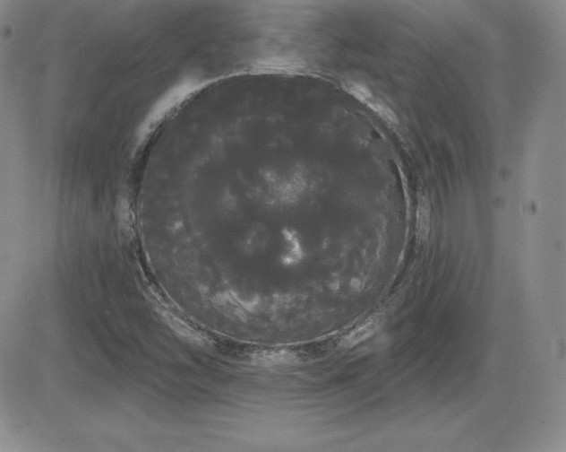 X0000084581454200702231243