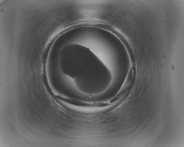 X0000084581459200702231243