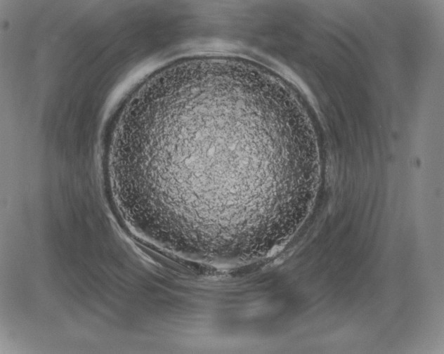 X0000084581464200702231243