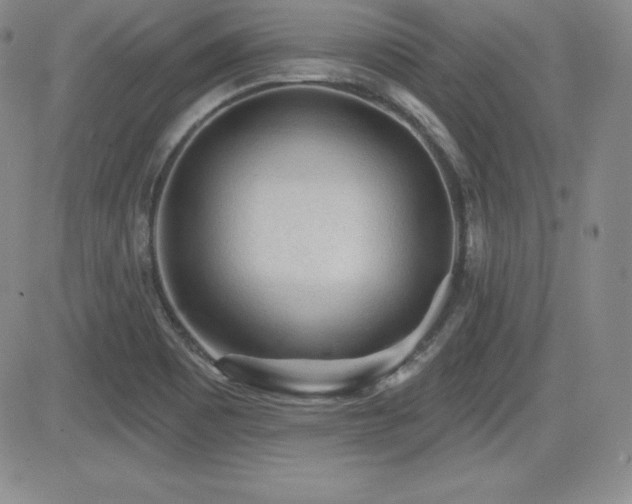 X0000084581465200702231243