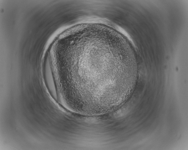 X0000084581472200702231243