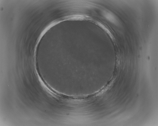 X0000084581475200702231243