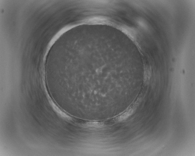 X0000084581478200702231243
