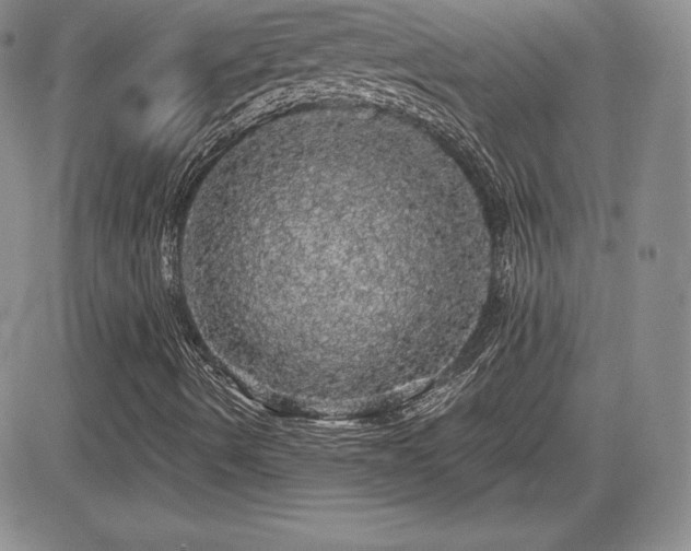 X0000084581490200702231242