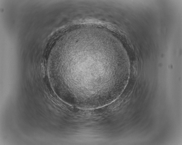 X0000084581493200702231242