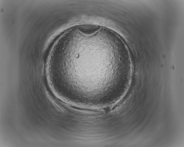 X0000084581507200702231242
