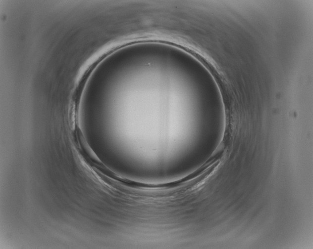 X0000084581510200702231242