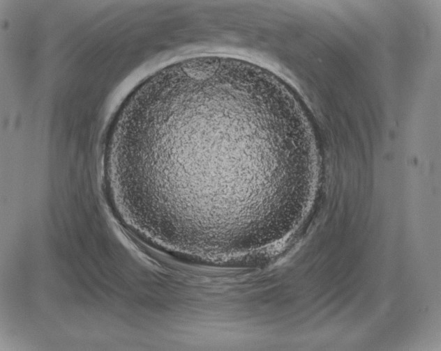 X0000084581511200702231242