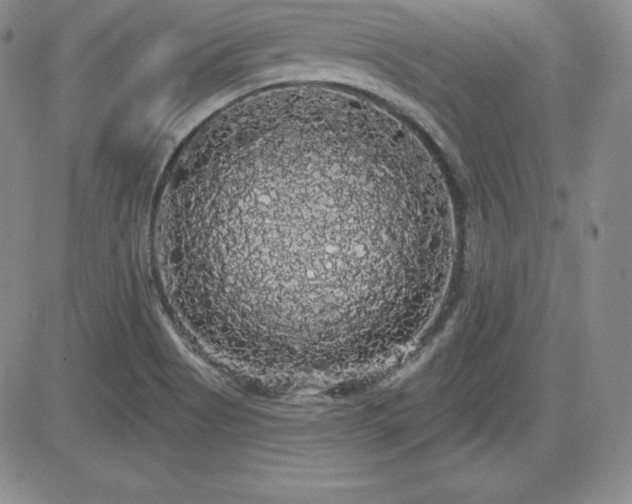 X0000084581513200702231242