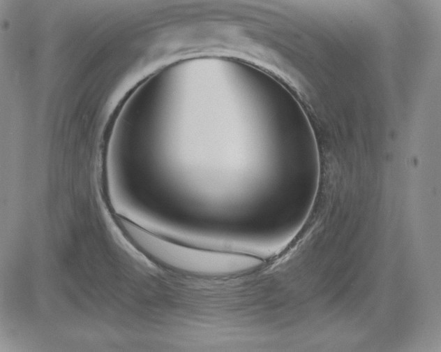 X0000084581518200702231242