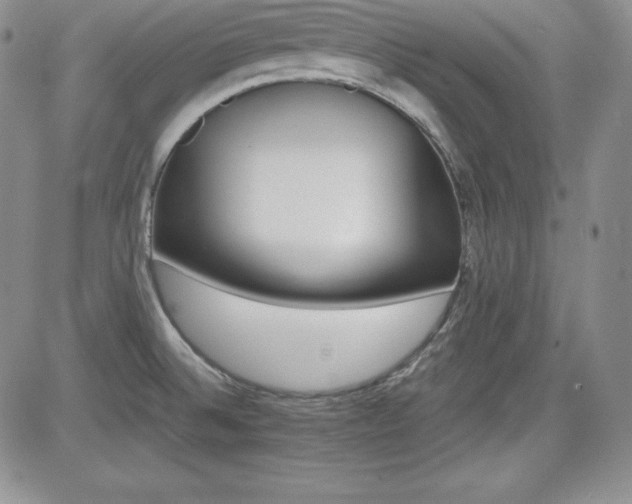 X0000084581524200702231242