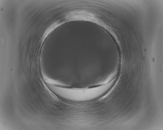 X0000084581529200702231242