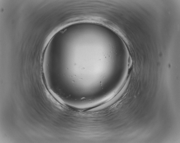 X0000084581532200702231242