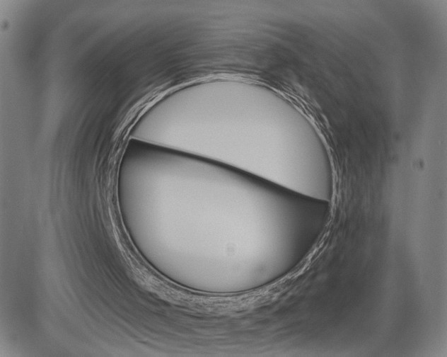 X0000084580001200703021543