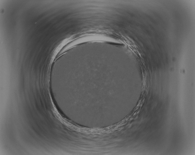 X0000084580003200703021543