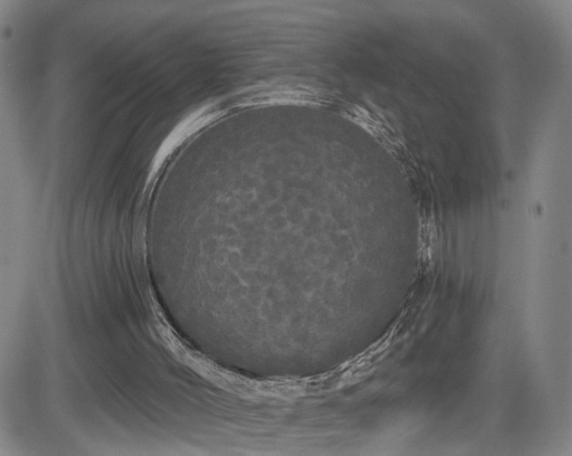X0000084580004200703021543
